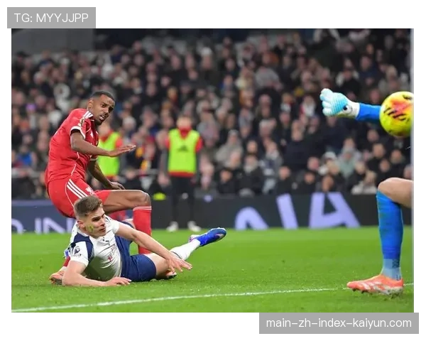 库杜斯与西蒙斯形成对比 热刺引援效果两极分化